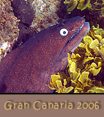 Reisebericht Gran Canaria / 2006