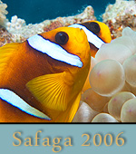 Reisebericht Safag / Ägypten 2006