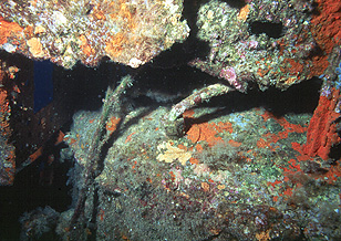 Tankähnlicher Behälter der durch die zerstörten Seitenplanken des in der Nähe von St. Tropez versenkten U-Boot - Rubis