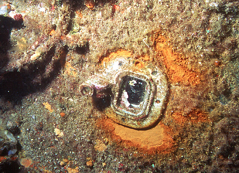 Blick in ein immer wieder vom Bewuchs befreites Bullauge des in der Nähe von St. Tropez versenkten U-Boot - Rubis