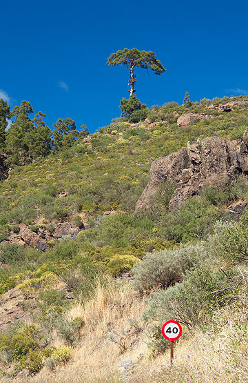 Gran Canaria - Entlang eines Seitenablegers der GC-200.