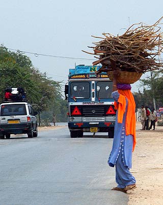 Indien 2005 - Jaipur nach Udaipur - Das Überqueren der Überlandstrassen ist für Mensch und Tier gefährlich. Spezielle die Busse bremsen schlichtweg nicht.