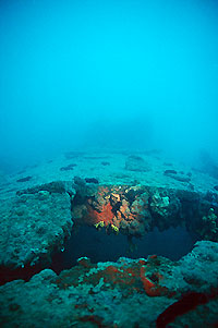 Sicht des oberen Rumpfelements ab Riss durch Torpedoeinschlag bis zum Turm / Medusa-Uboot-Wrack in Pula Kroatien