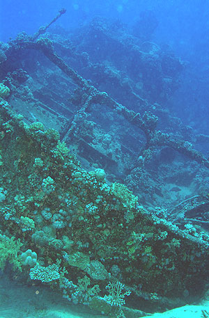 Ägypten 2003 - Lahami Bay - Abu Galawa - Wrack des Schleppers Tienstin