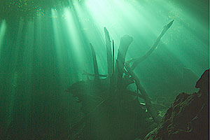 Yucatan - Tauchgang in der Cenote Chac Mool - Lichtspiele beim Abtauchen