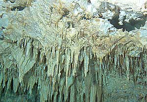 Yucatan - Tauchgang in der Cenote Chac Mool - Stalaktiten in den Unterwasserhöhlen