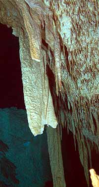 Yucatan - Tauchgang in der Cenote Chac Mool - Stalaktiten in den Unterwasserhöhlen