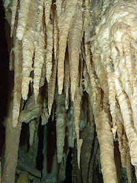 Yucatan - Tauchgang in der Cenote Chac Mool - Stalaktiten in den Unterwasserhöhlen