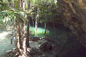 Yucatan - Tauchgang in der Cenote Chac Mool - Einstieg in die Unterwasserwelt