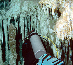 Yucatan - Tauchgang in der Cenote Dos - Tropfsteine / Stalaktiten in den Unterwasserhöhlen