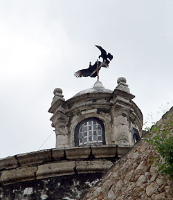 Yucatan - Merida - Kathedrale