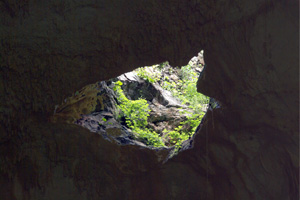 Yucatan - Cenote Xkeken -  Blick durch ein Loch in der Höhlendecke