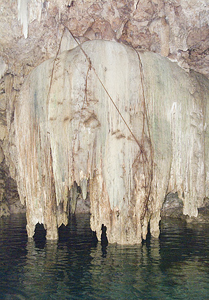 Yucatan - Cenote Xkeken -  Riesiger Tropfstein / Stalaktit