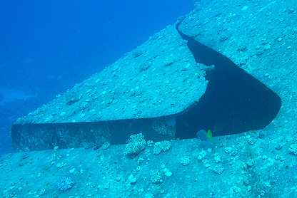 Ägypten 2006 - Safaga - Wrack der Salem Express - Die leicht geöffnete Bugklappe sowie das gewölbte Metall (im Bild rechtsunten) lassen sich in Seitenlage noch besser erkennen.