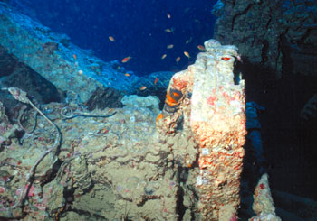 Ägypten 1999 - Thistlegorm Wrack - Kühler eines Morrison LKW