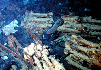 Ägypten 1999 - Thistlegorm Wrack - Blick in den Laderaum voller Gummistiefel (Wellingtons)